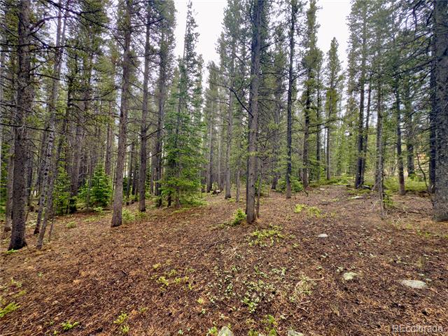 Lot 285 Lower Forest Road