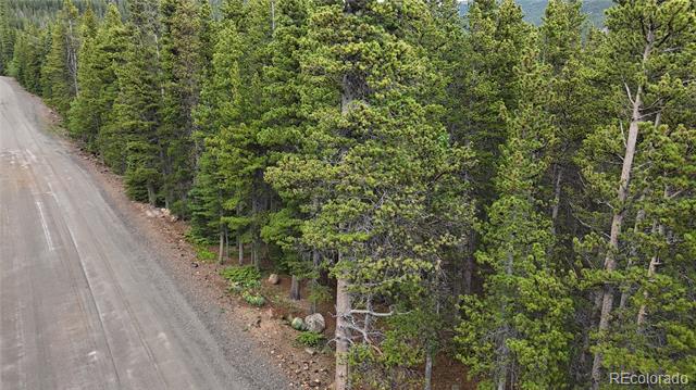 Lot 285 Lower Forest Road