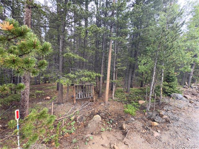 Lot 285 Lower Forest Road