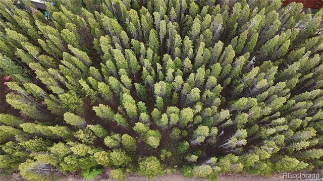 Lot 285 Lower Forest Road