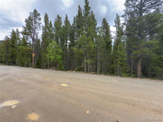 Lot 285 Lower Forest Road