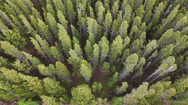 Lot 285 Lower Forest Road