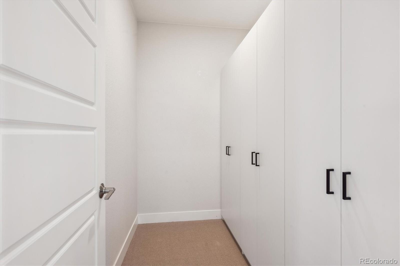 14337 Shasta Daisy Point