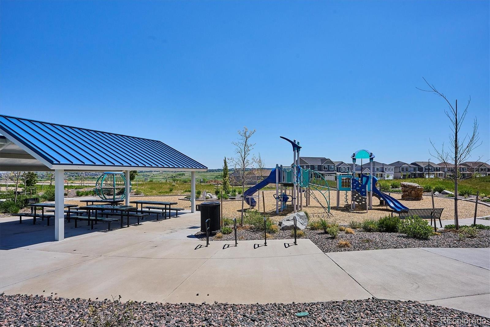 14337 Shasta Daisy Point