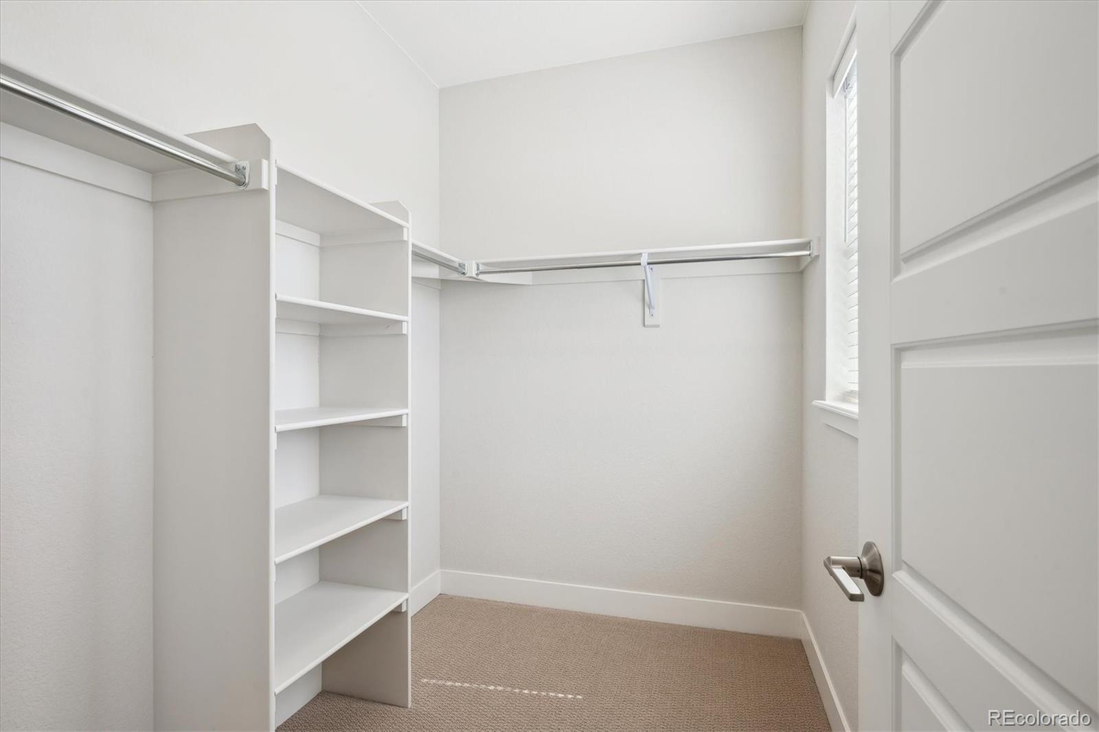 14337 Shasta Daisy Point