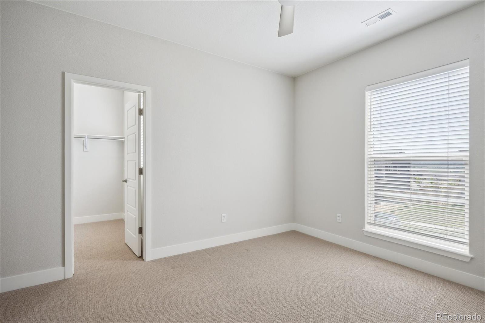 14337 Shasta Daisy Point