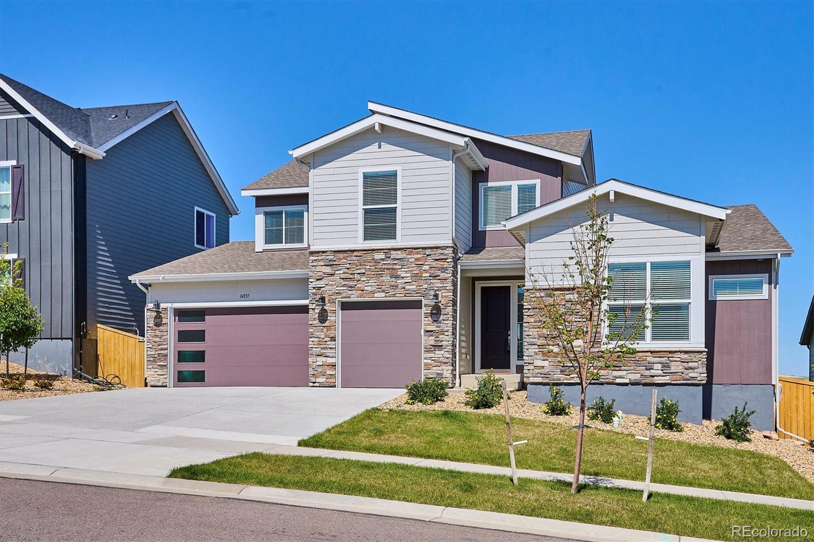 14337 Shasta Daisy Point