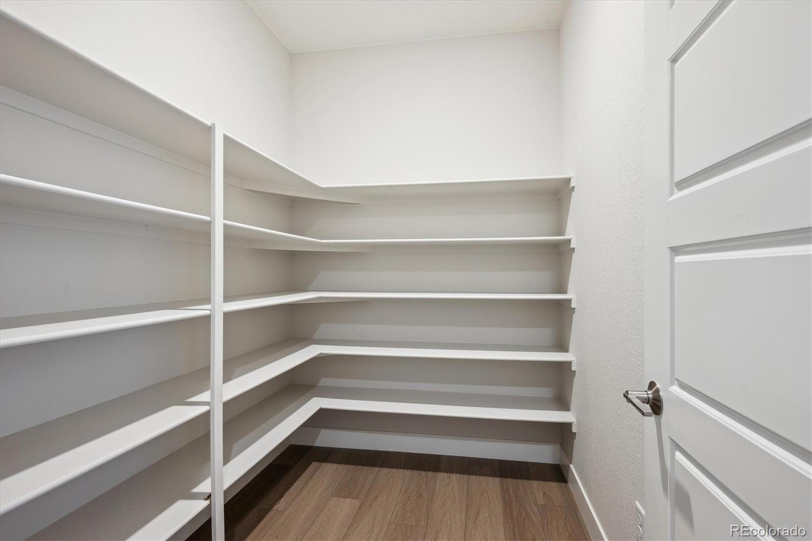 14337 Shasta Daisy Point