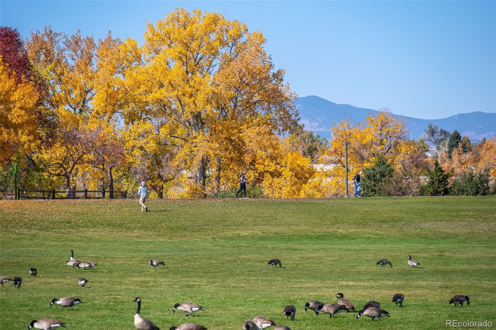 455 S Ingalls Street