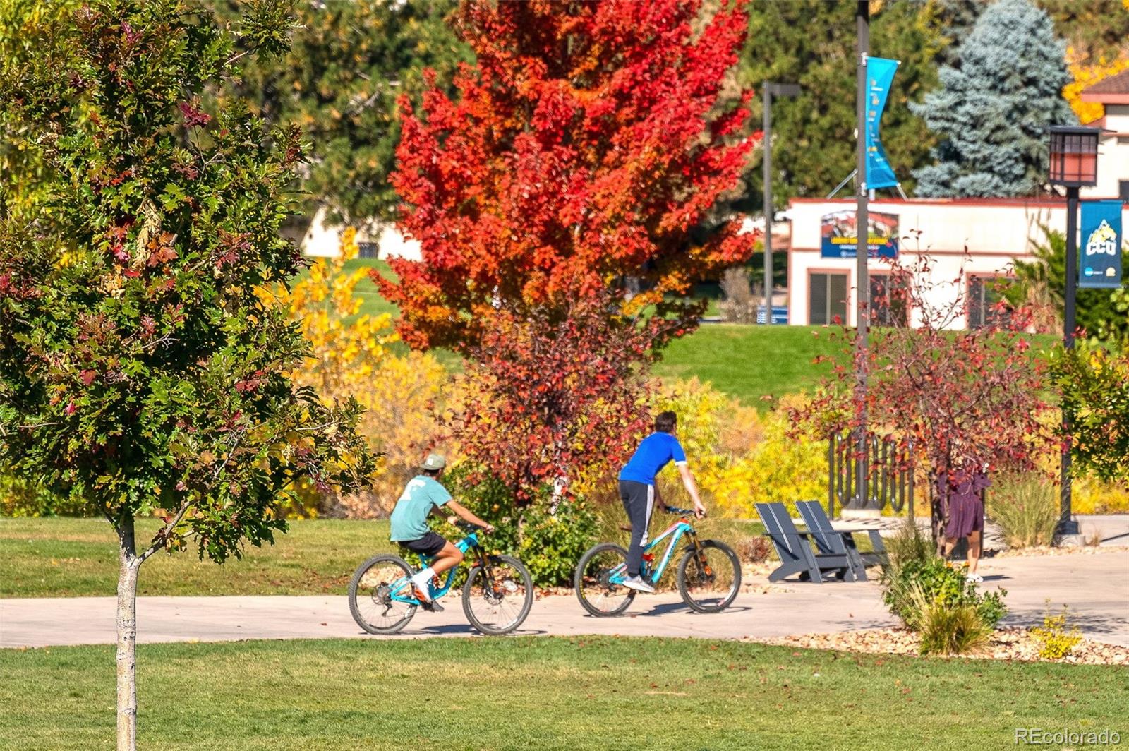 455 S Ingalls Street