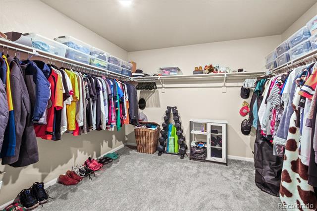 18108 House Finch Lane