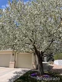 6301 S Killarney Street