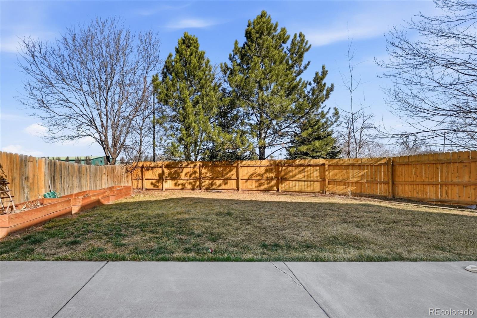 3797 Dexter Court