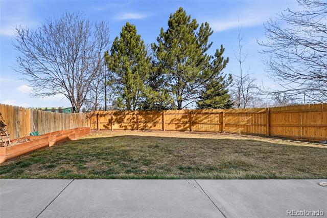 3797 Dexter Court