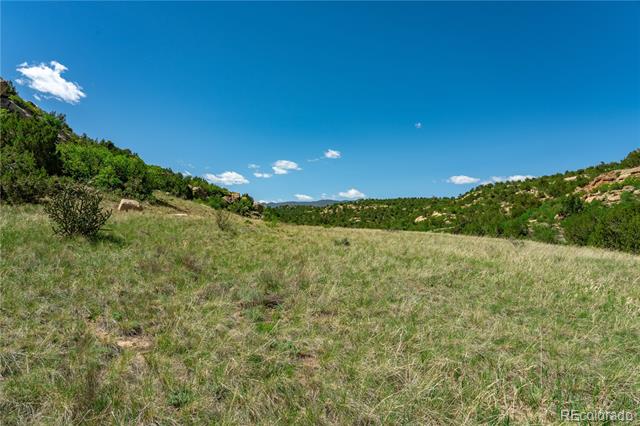 000 County Road 79