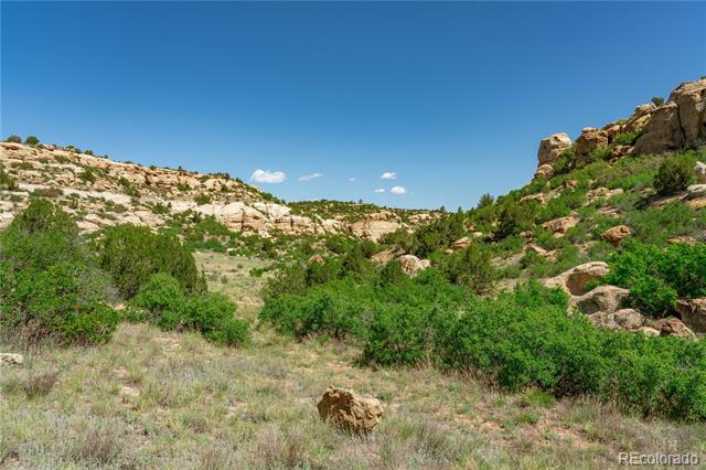 000 County Road 79
