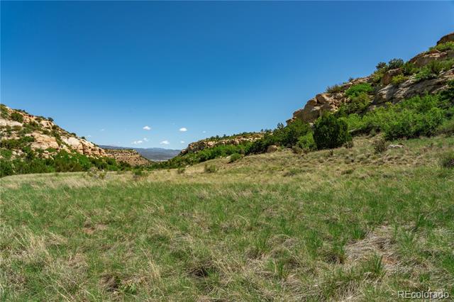 000 County Road 79