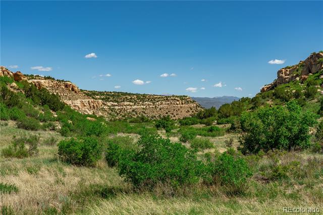 000 County Road 79