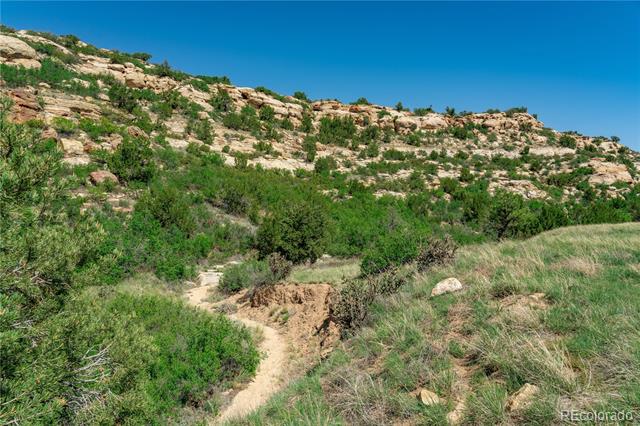 000 County Road 79