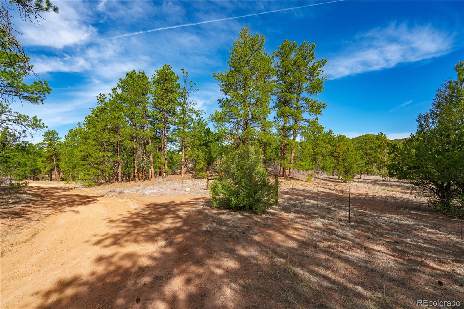 870 Oak Drive