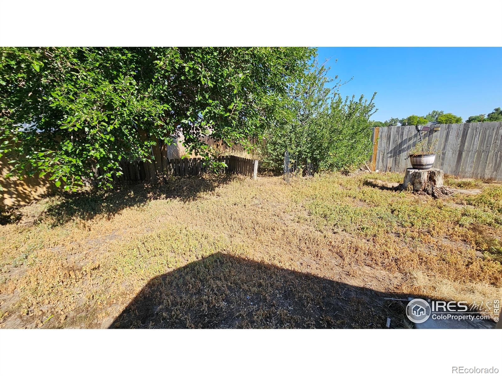 420 Applewood Street