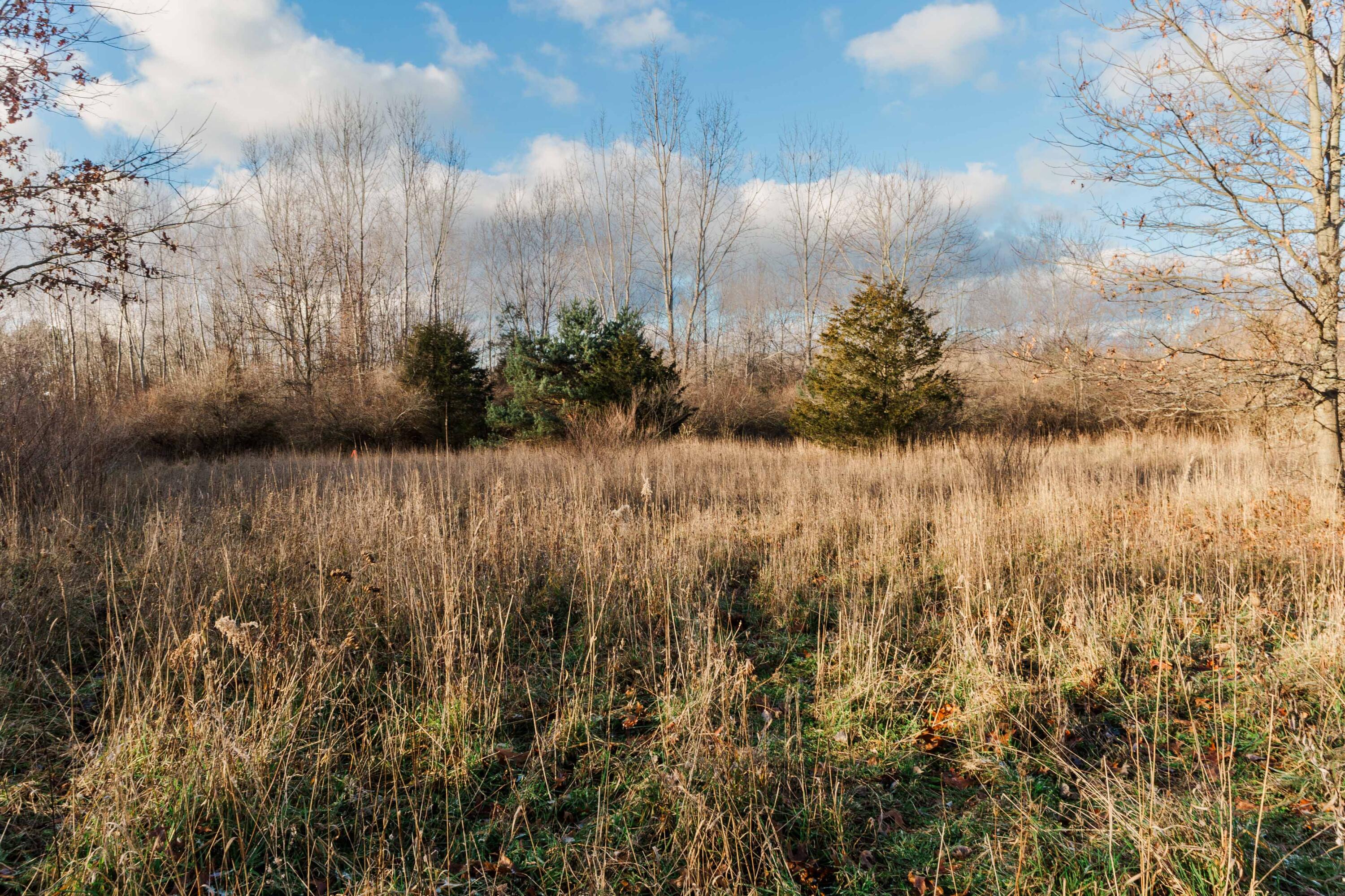 3328 Pine Glen Drive, Lot H
