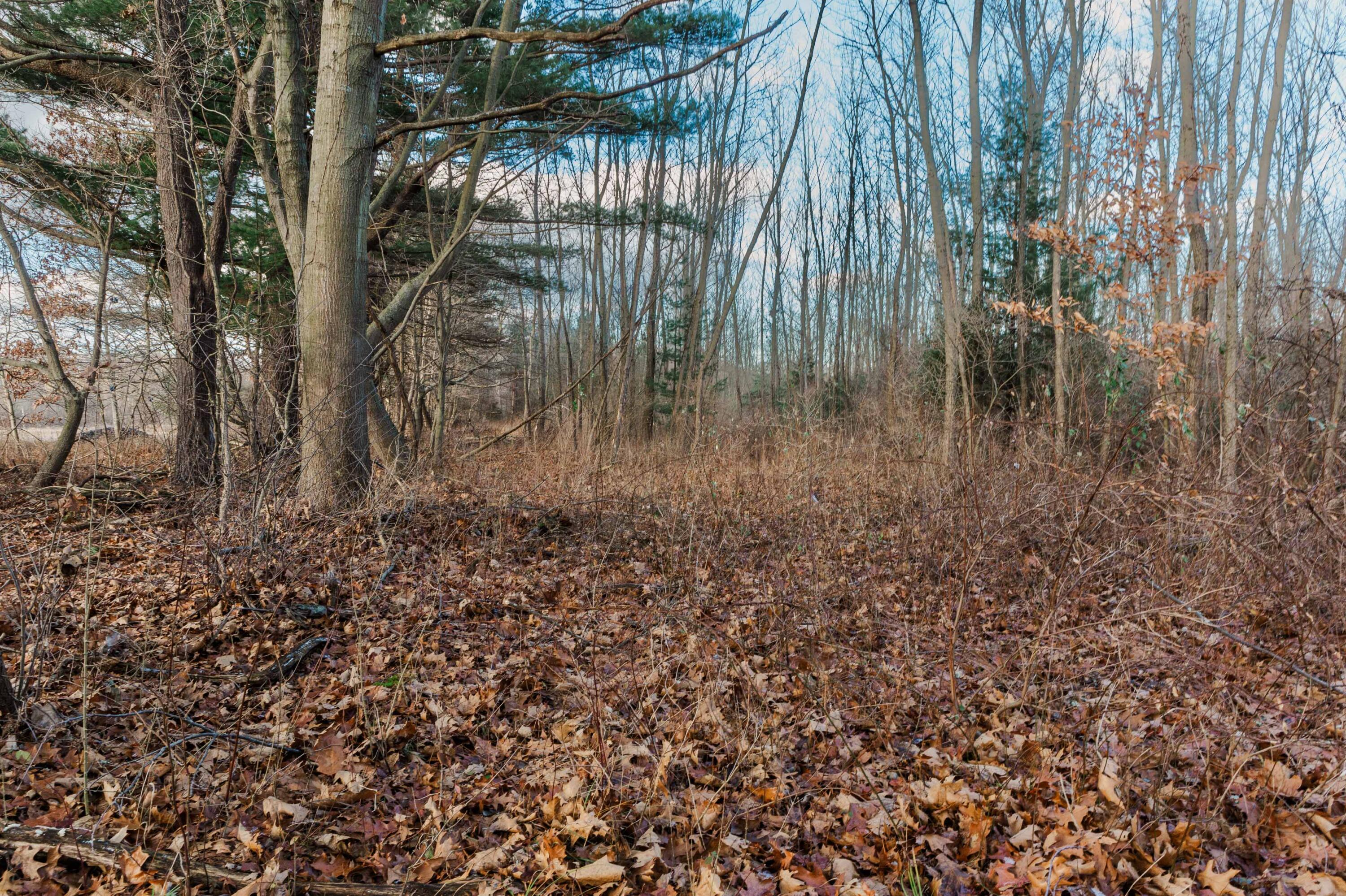 3328 Pine Glen Drive, Lot H