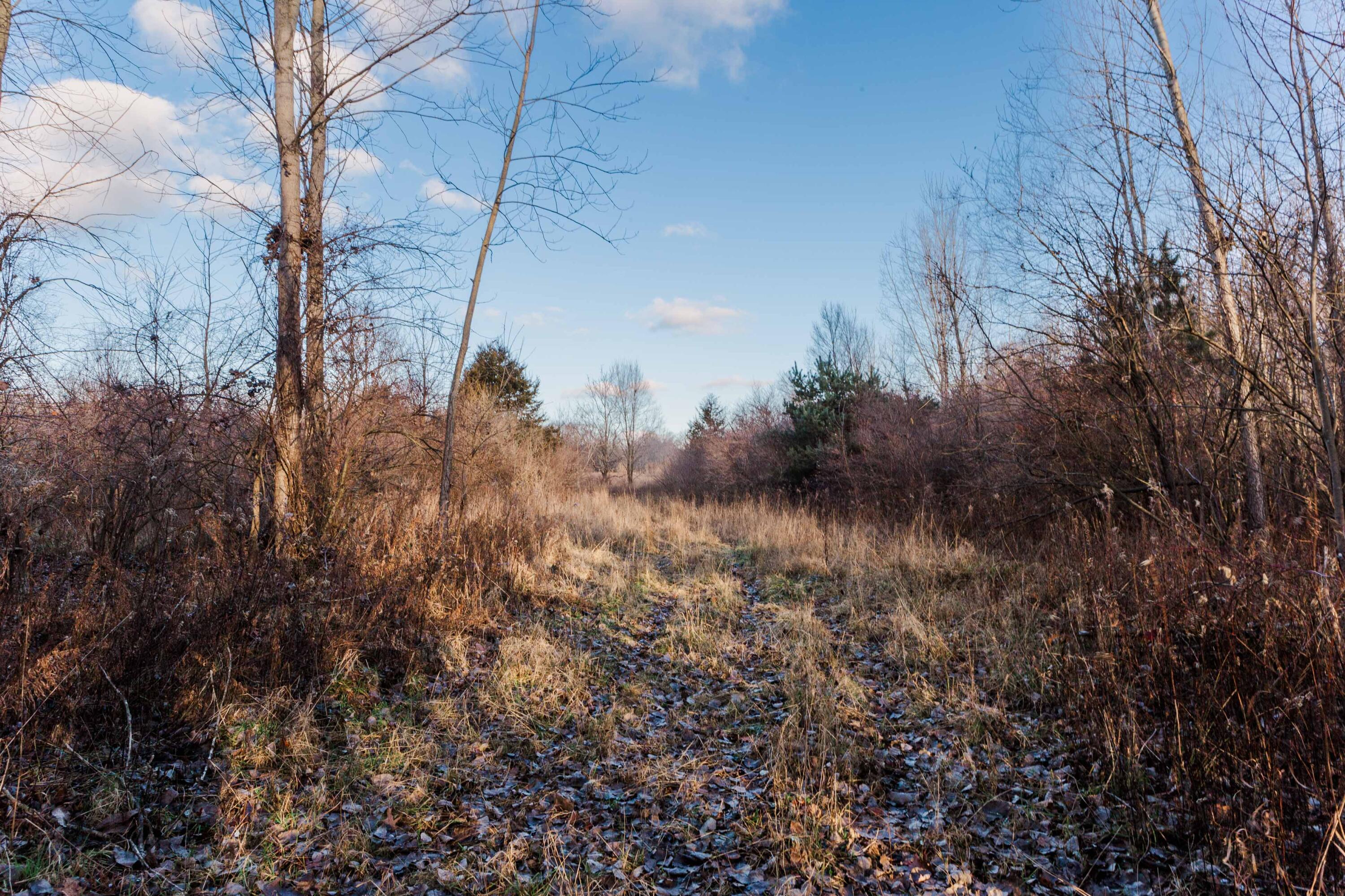 3328 Pine Glen Drive, Lot H