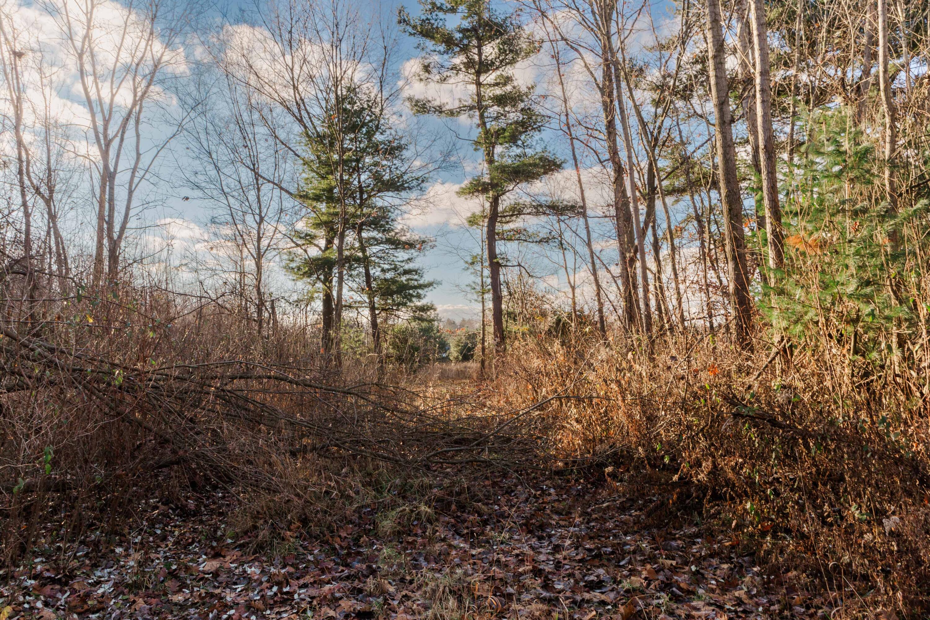 3328 Pine Glen Drive, Lot H