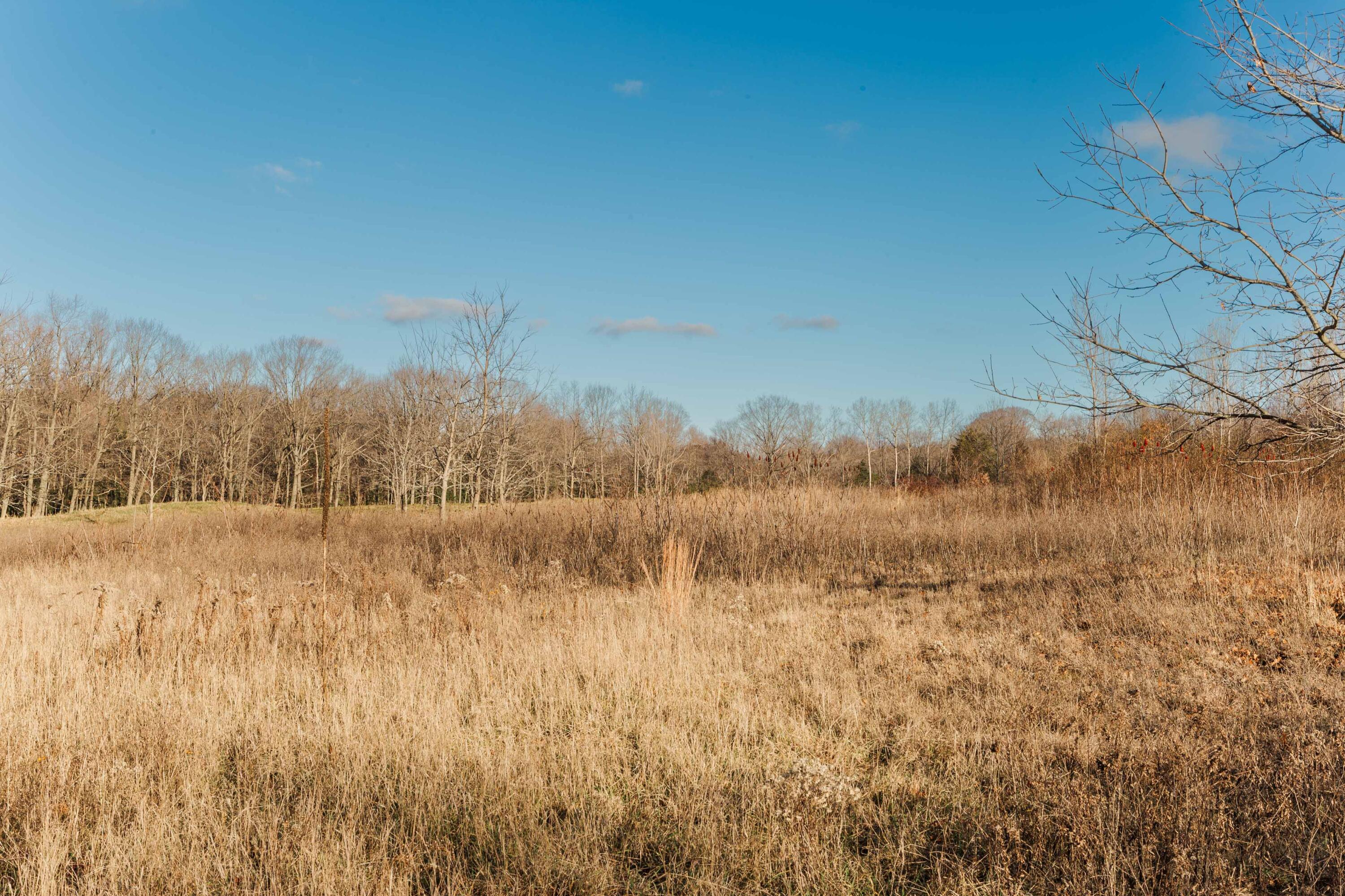 3328 Pine Glen Drive, Lot H