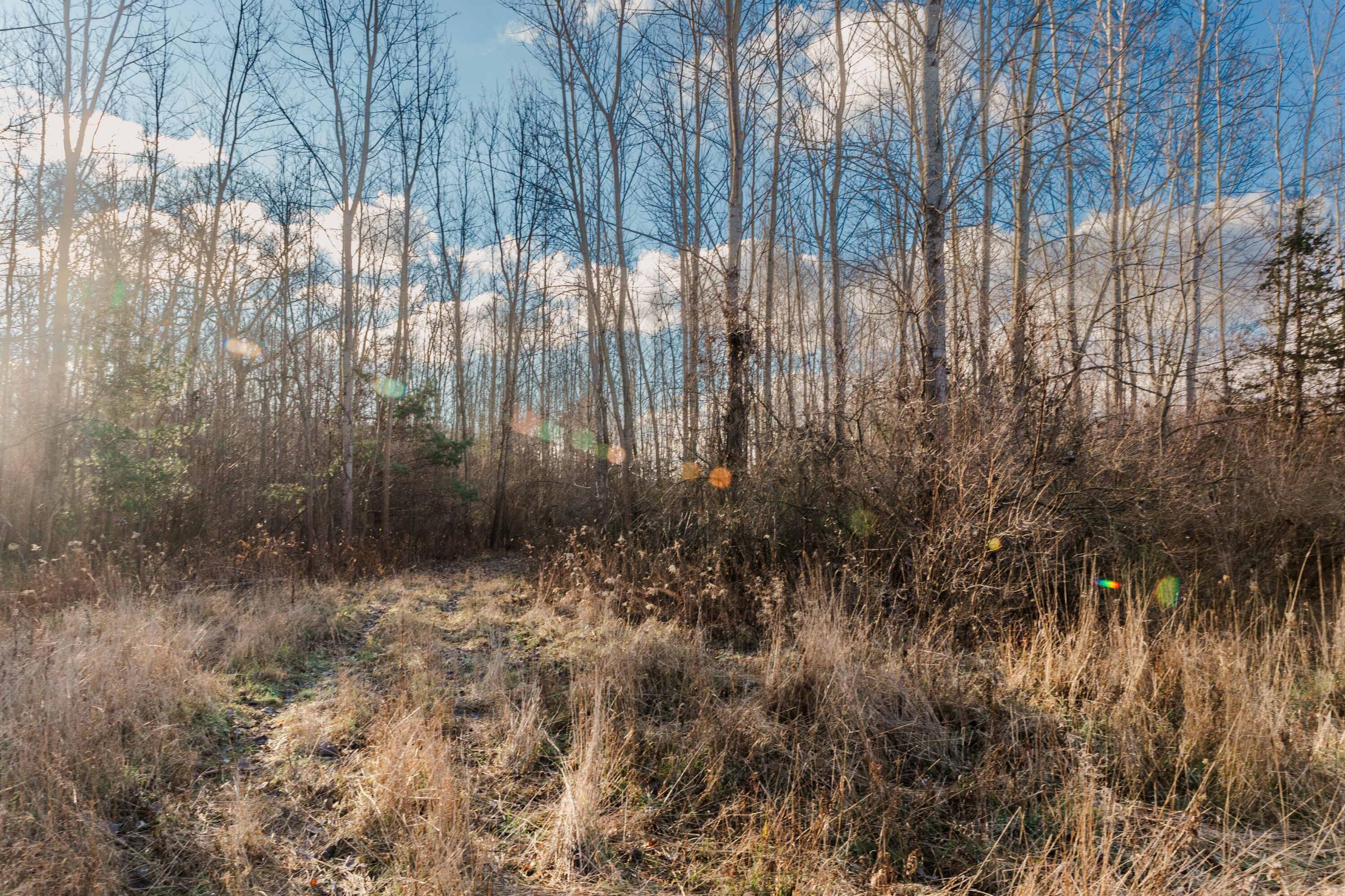 3328 Pine Glen Drive, Lot H