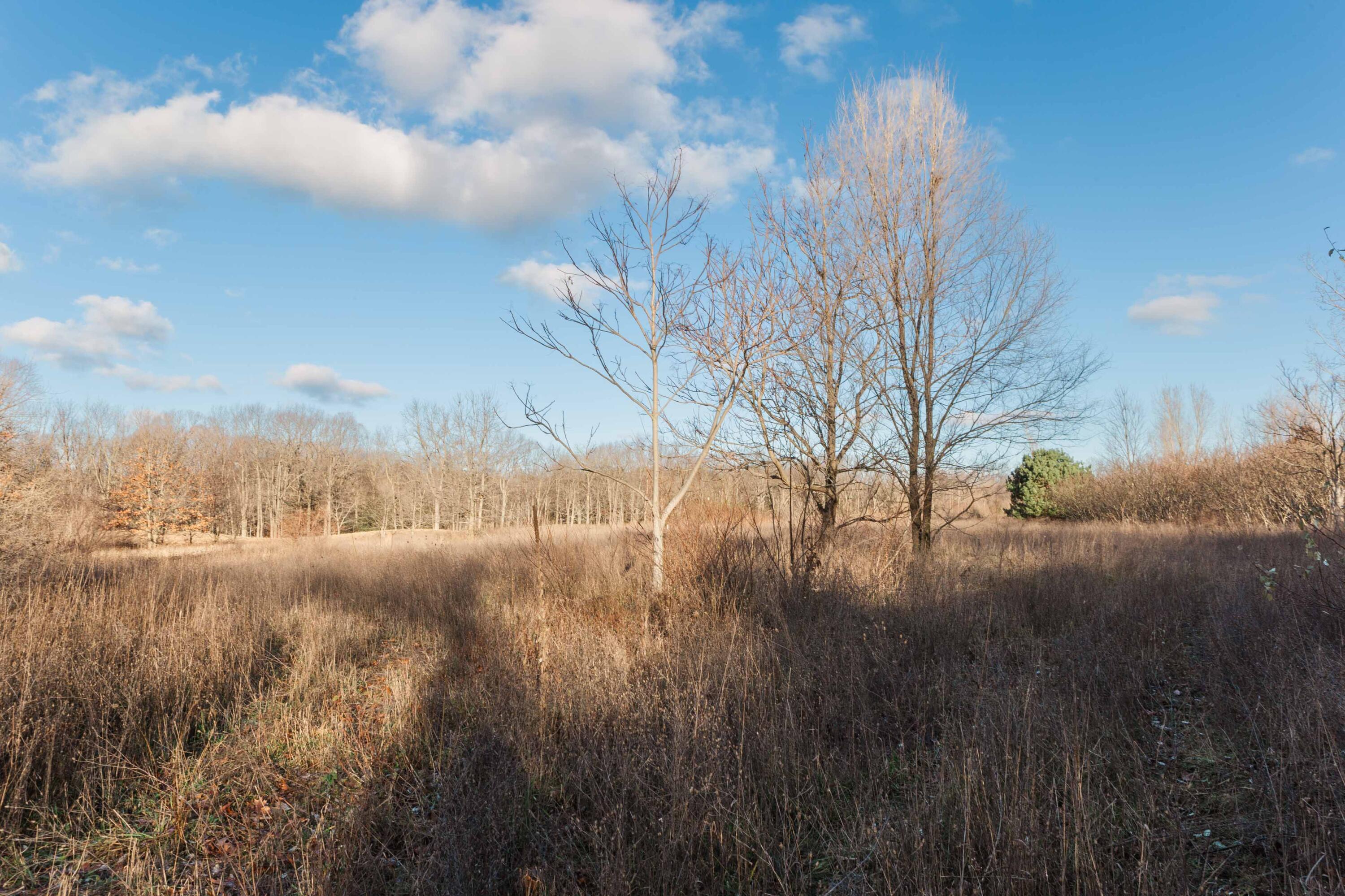 3328 Pine Glen Drive, Lot H