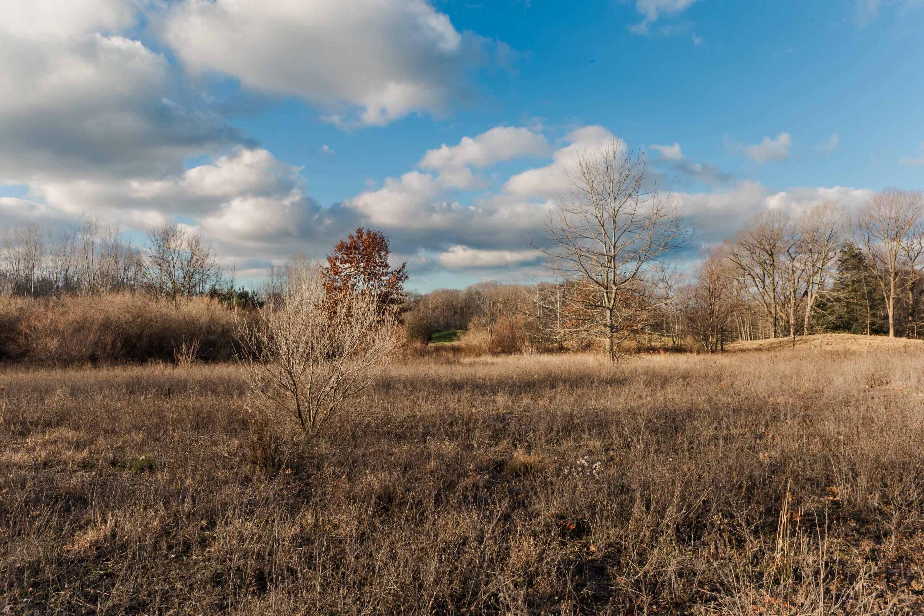 3328 Pine Glen Drive, Lot H