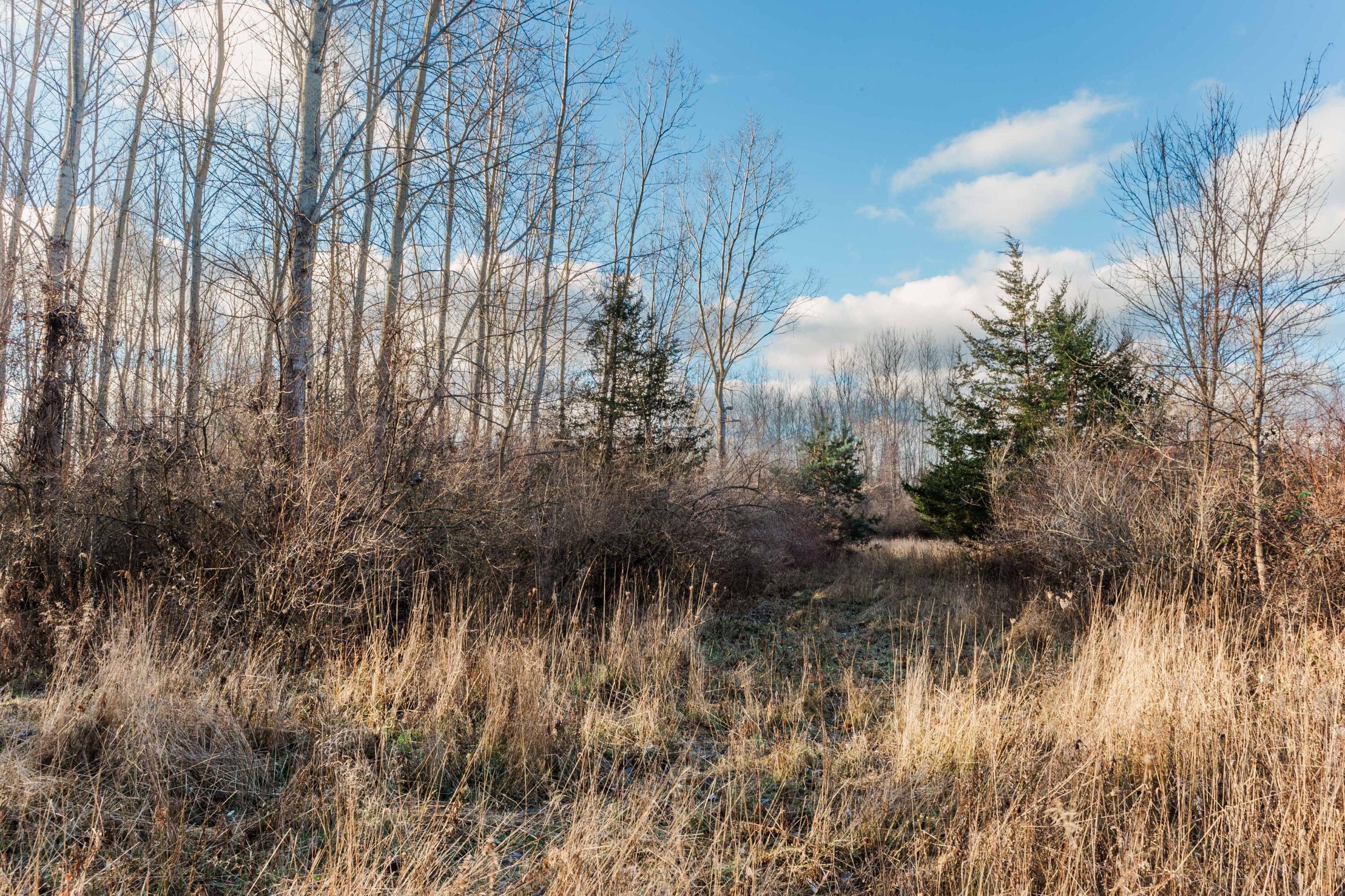 3328 Pine Glen Drive, Lot H