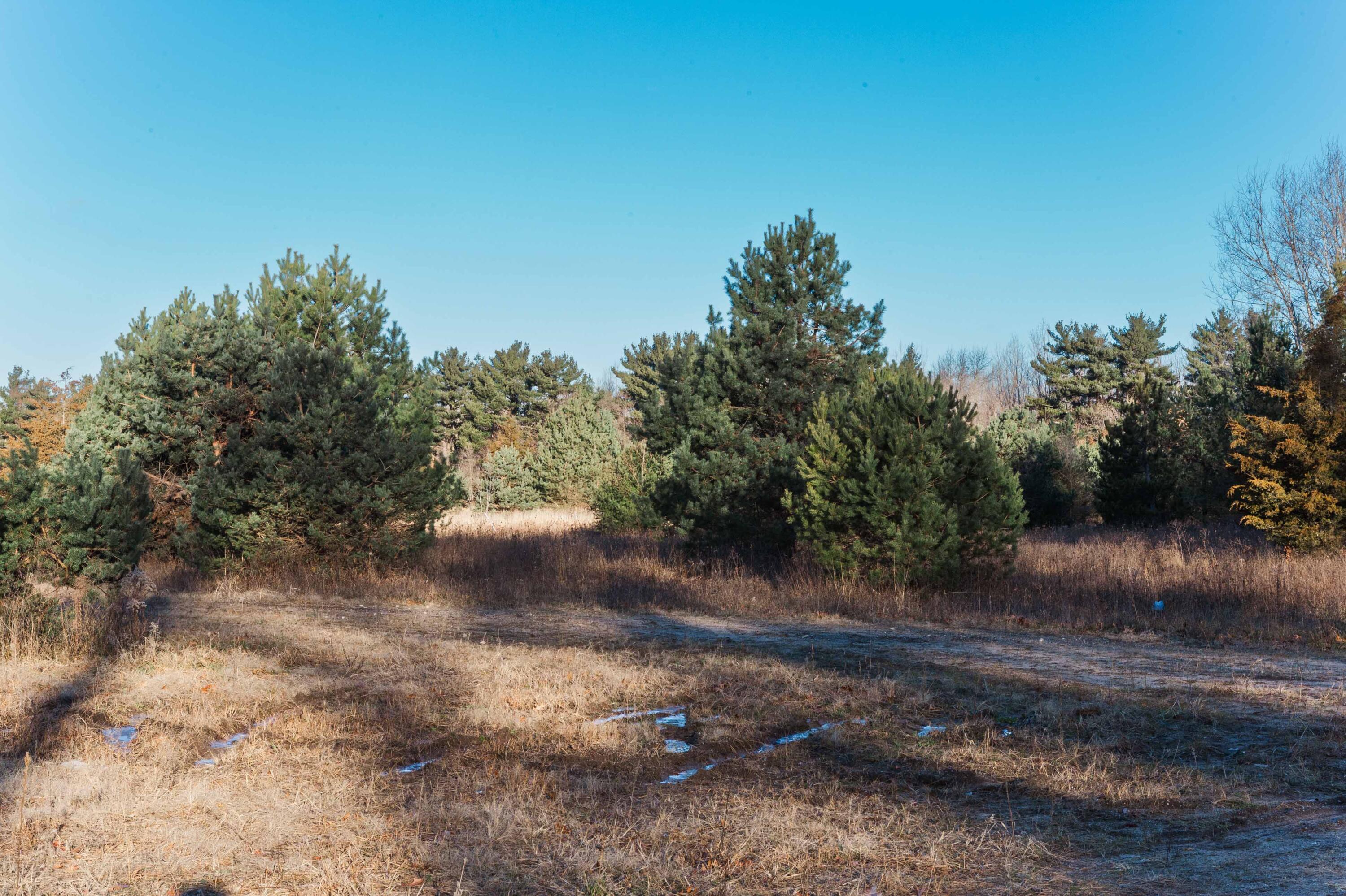 3328 Pine Glen Drive, Lot H