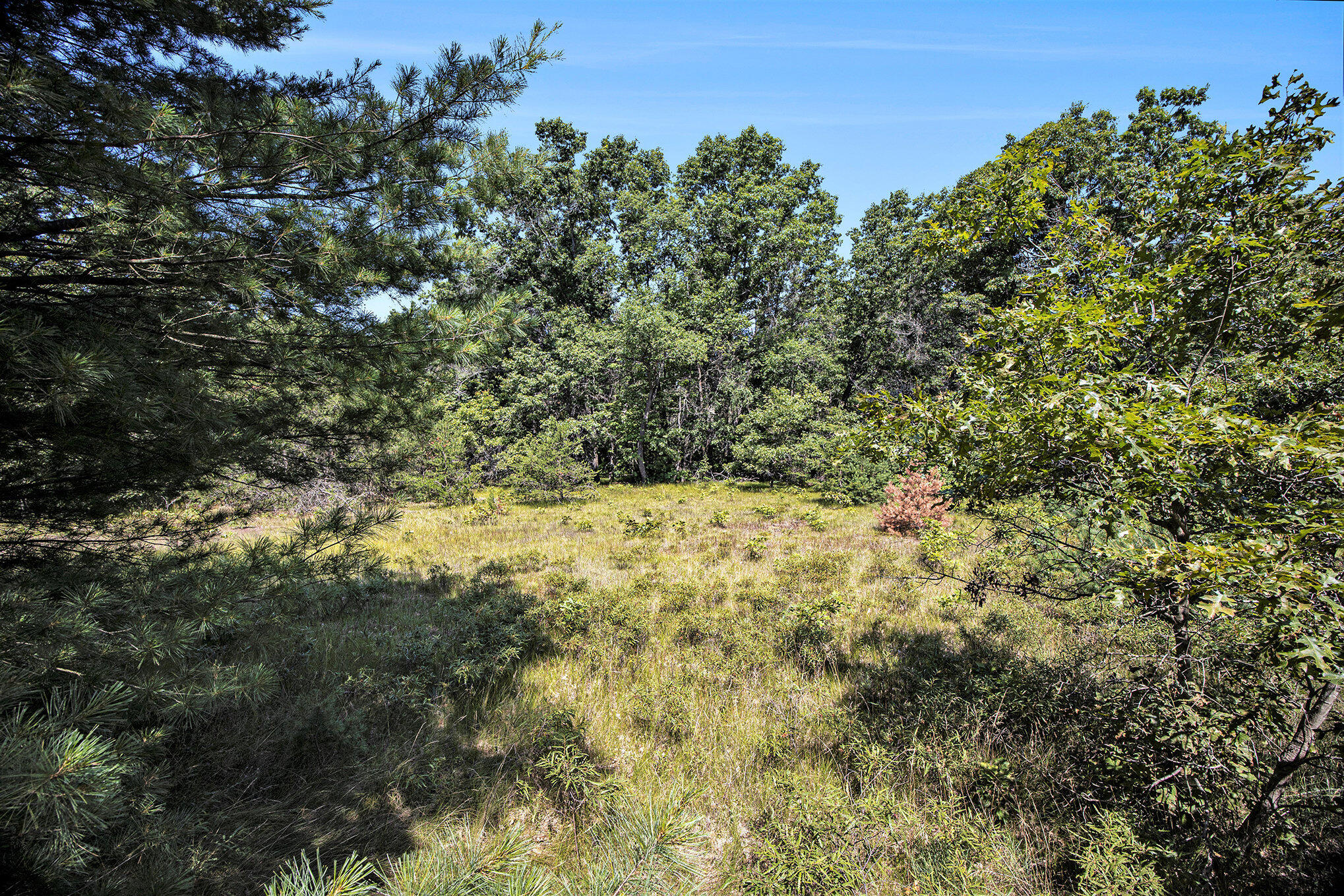 Lot B 85th Avenue