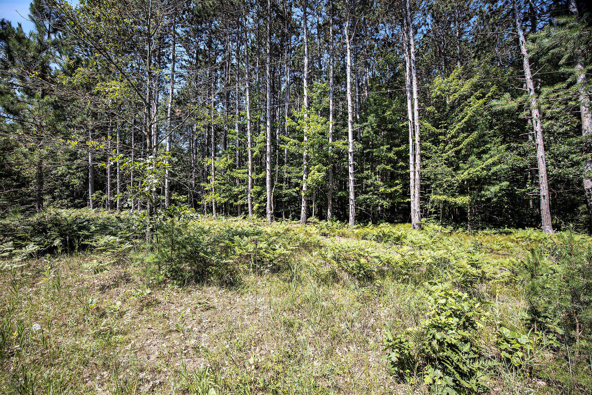 Lot B 85th Avenue