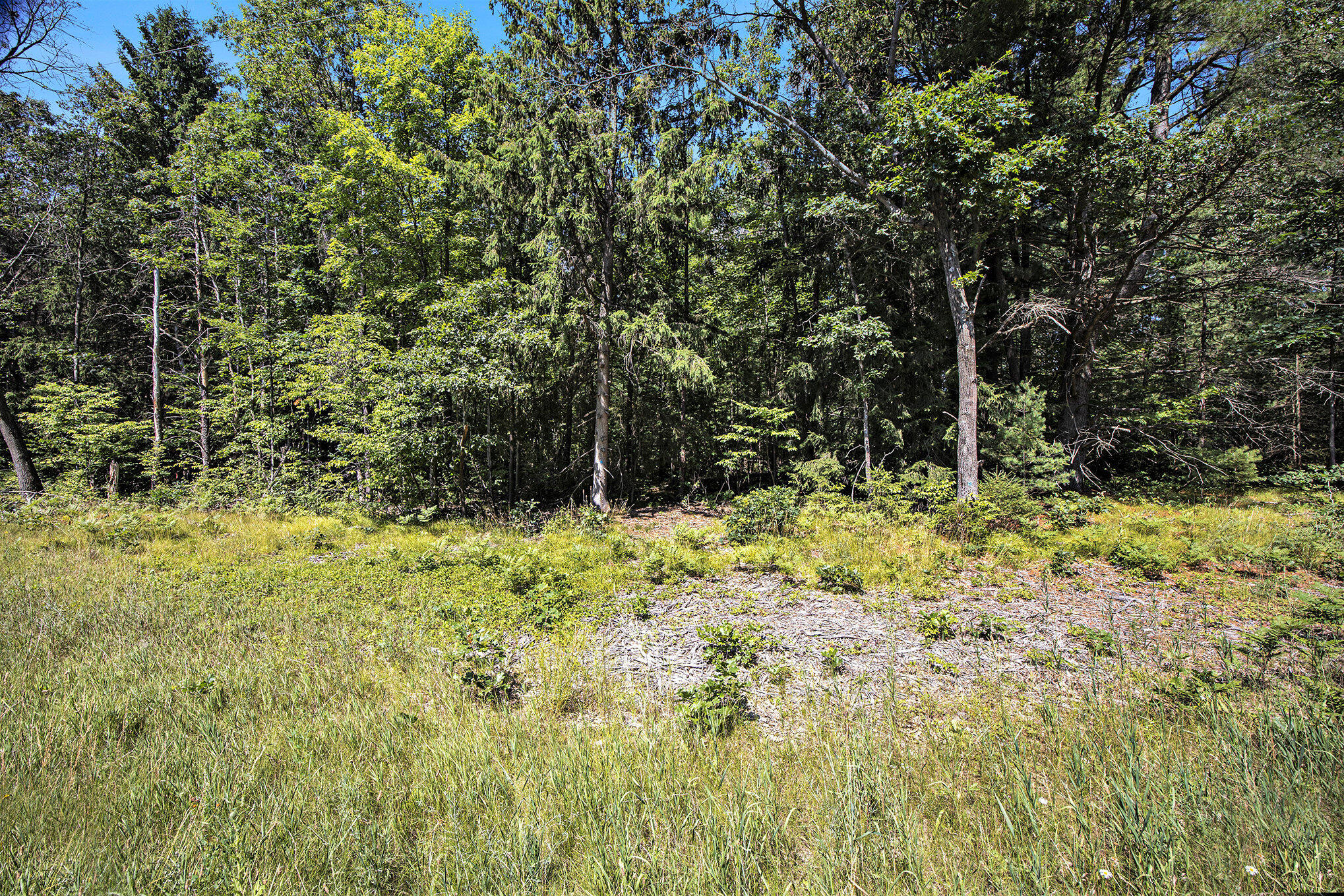Lot B 85th Avenue