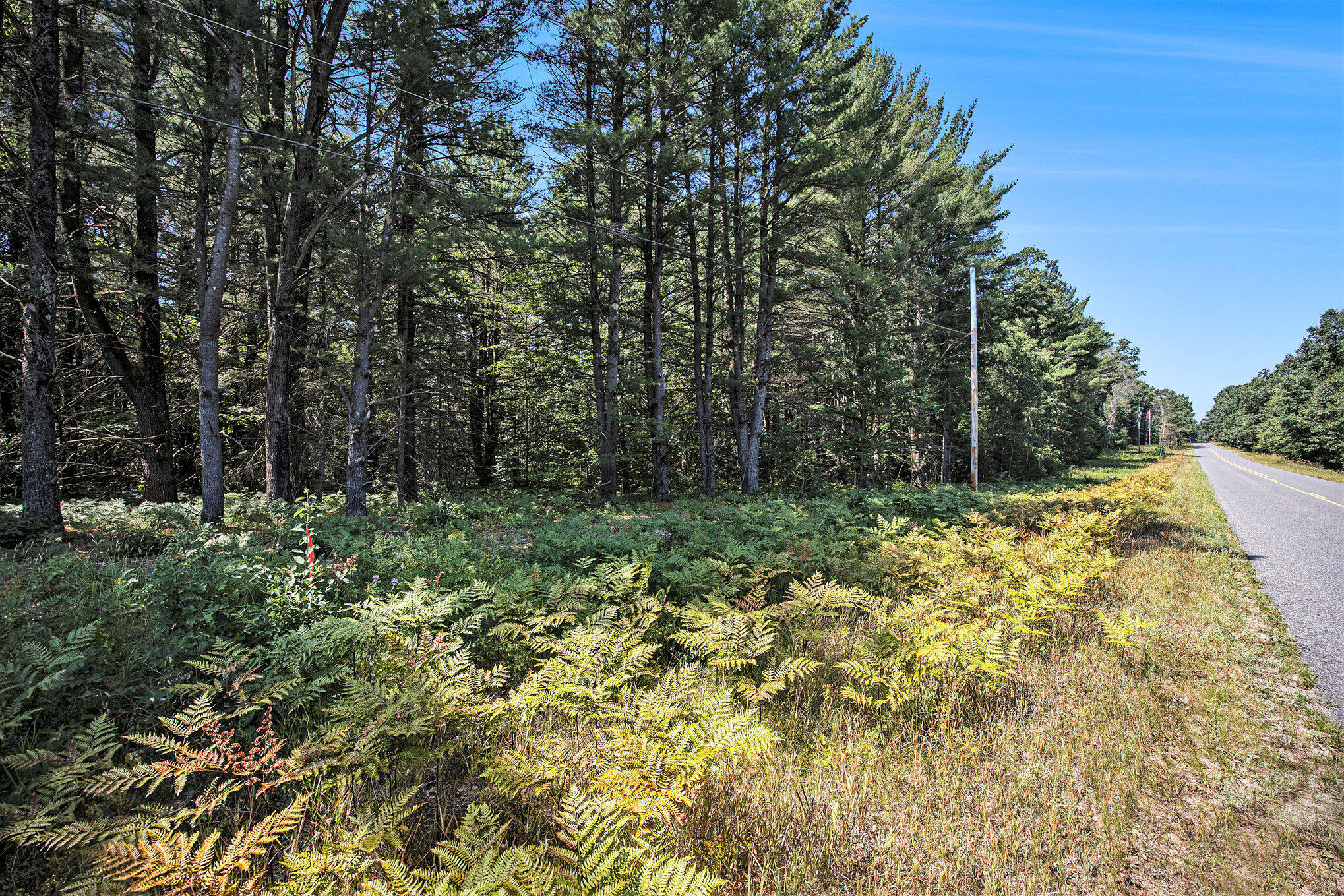 Lot D 85th Avenue
