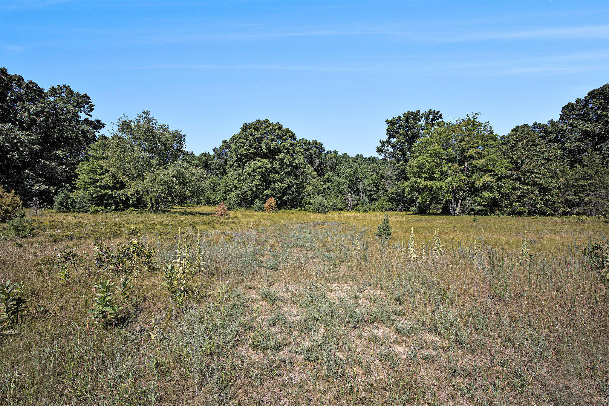 Lot D 85th Avenue