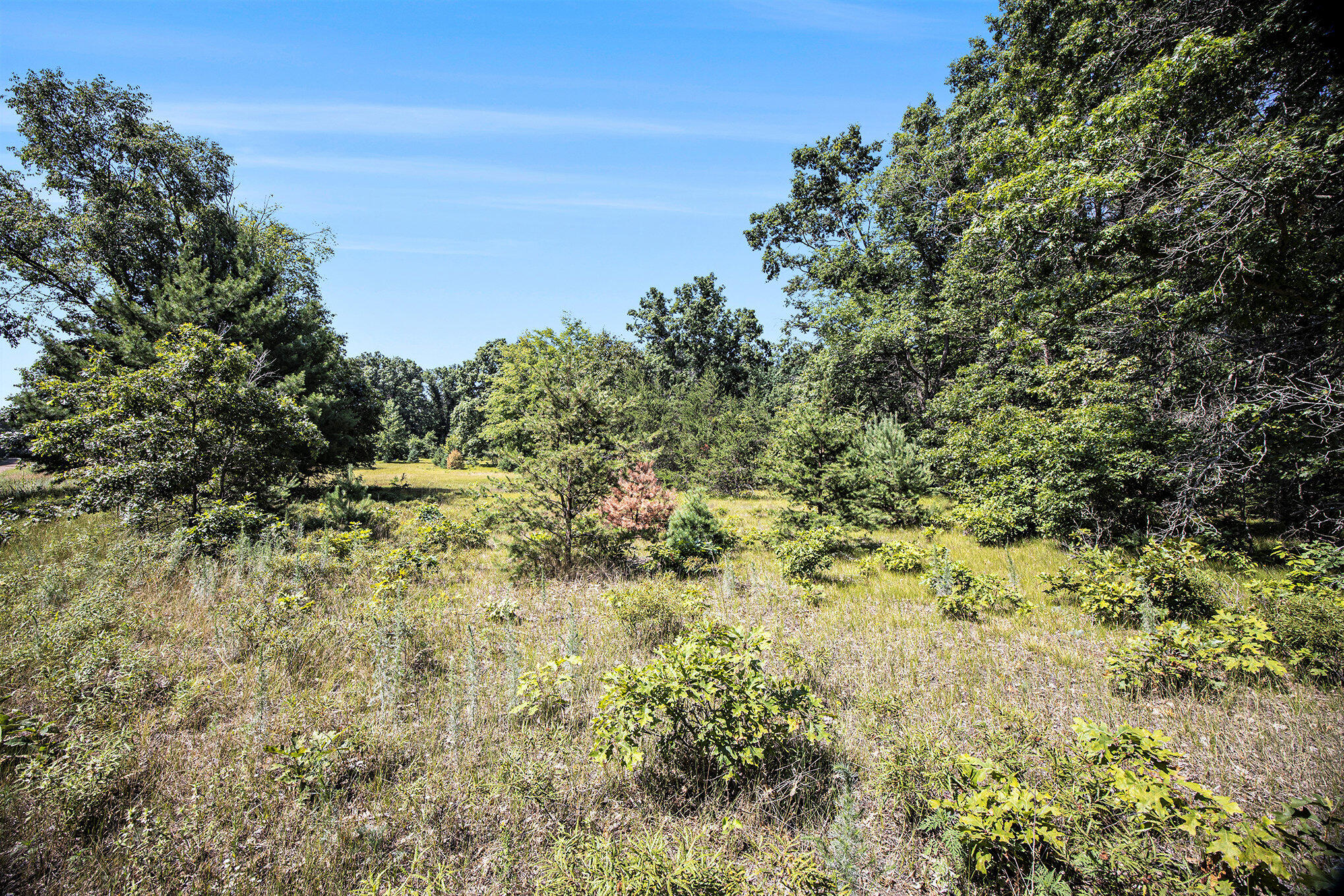 Lot D 85th Avenue