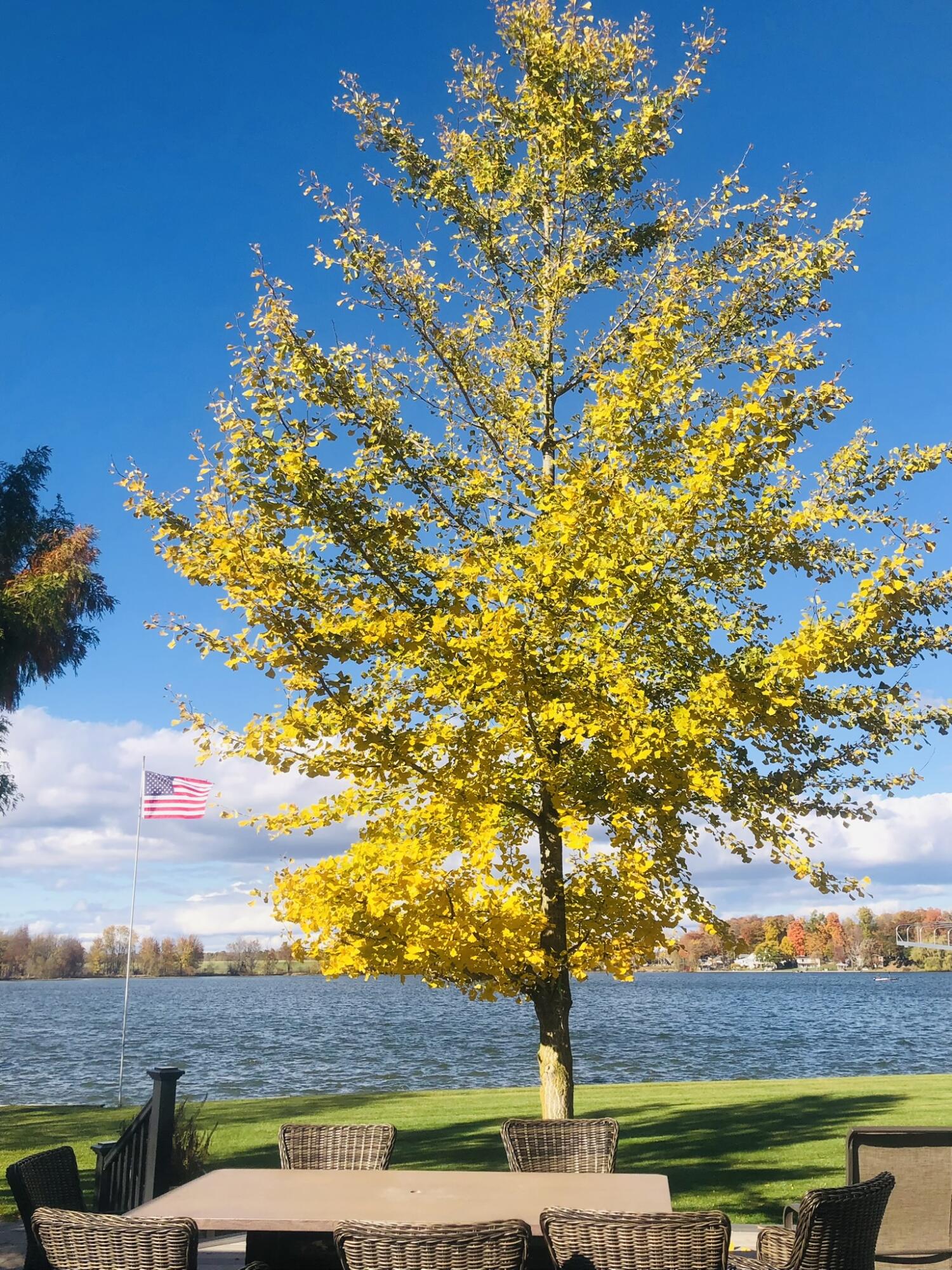 7022 Strawberry Lane