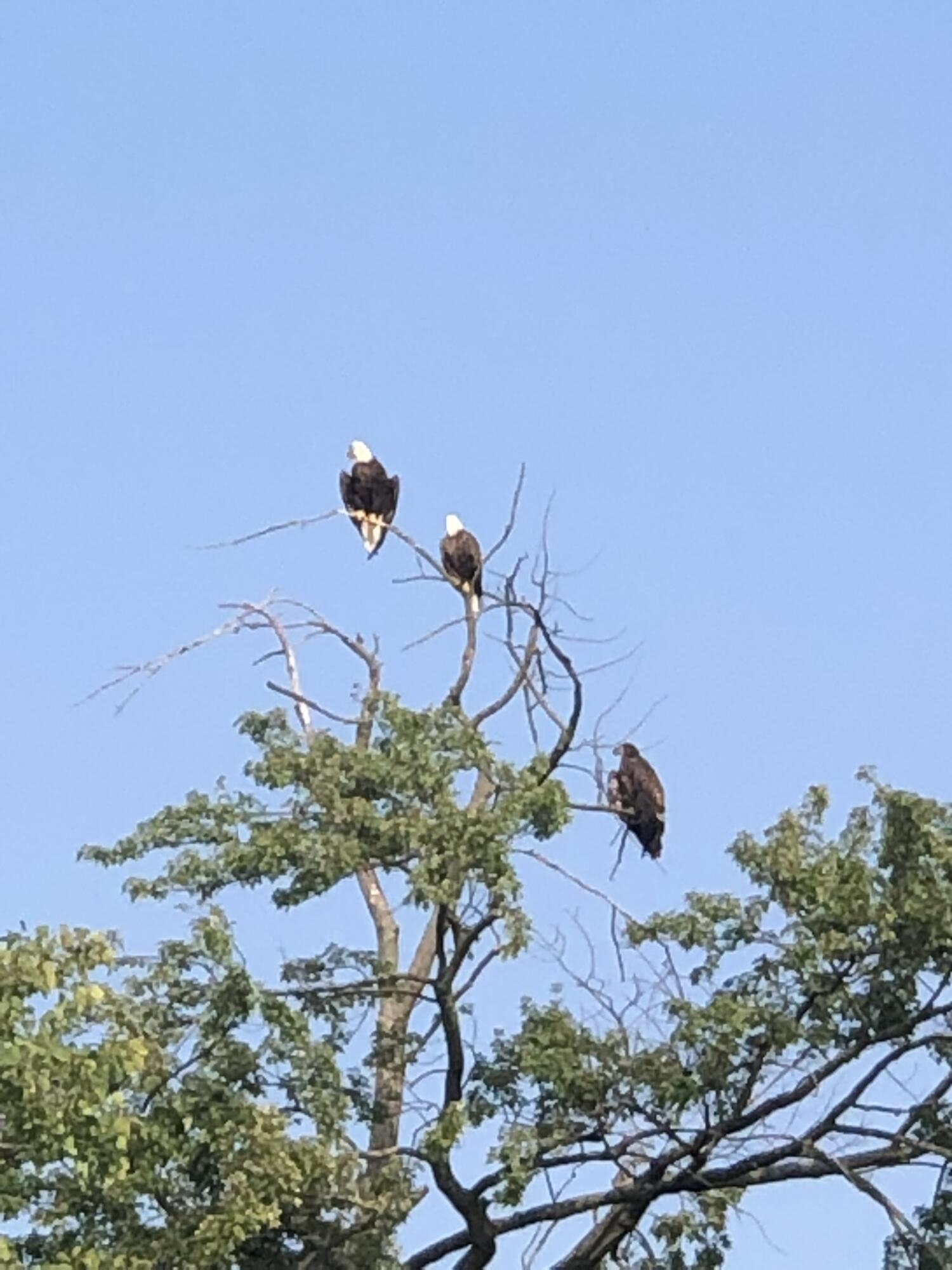 7022 Strawberry Lane