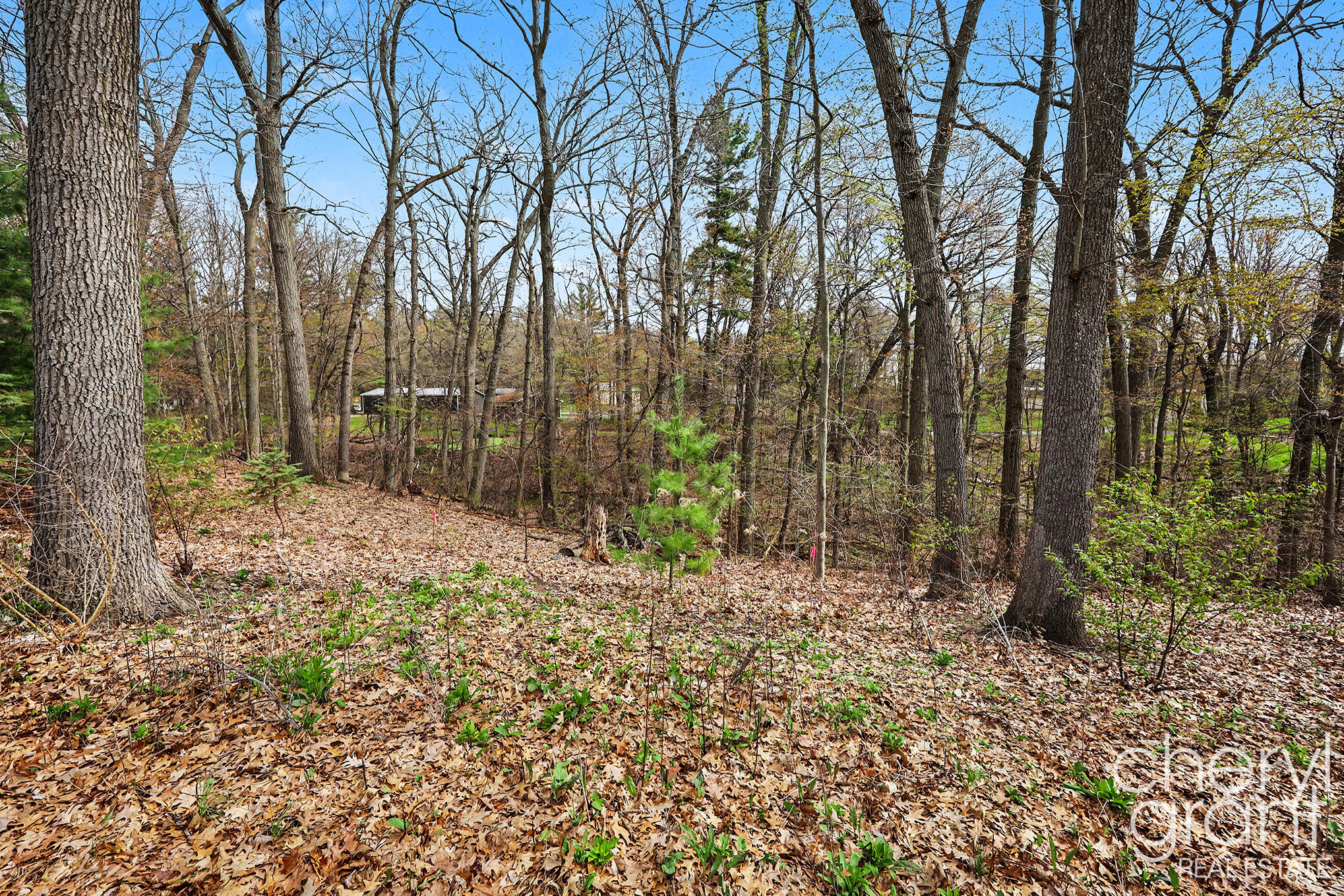 7406 Ravine Drive NE