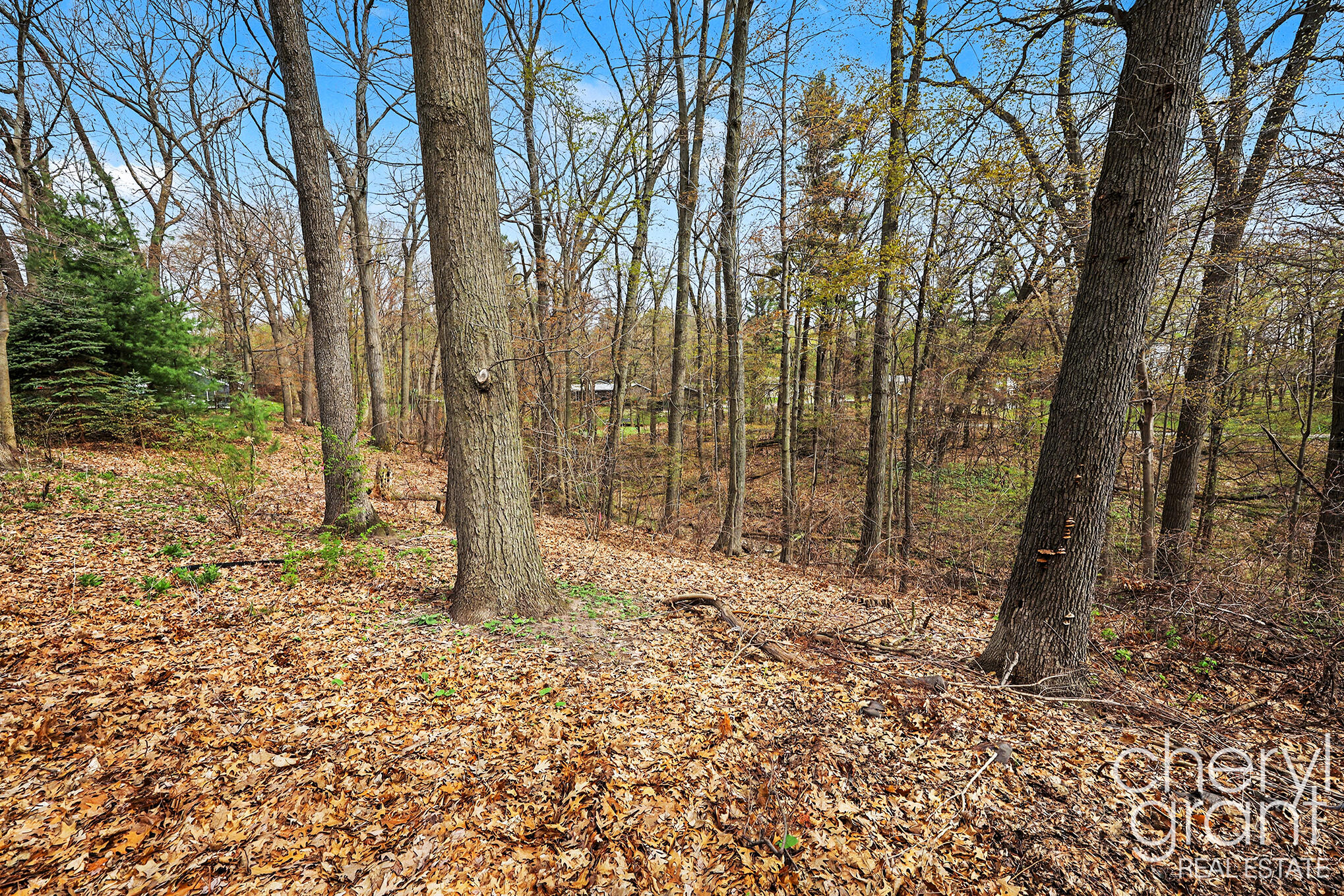 7406 Ravine Drive NE