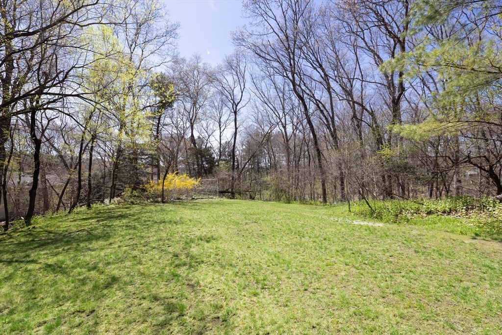 7 Clover Lane