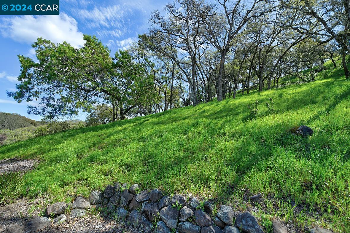 6409 Horsemans Canyon Dr