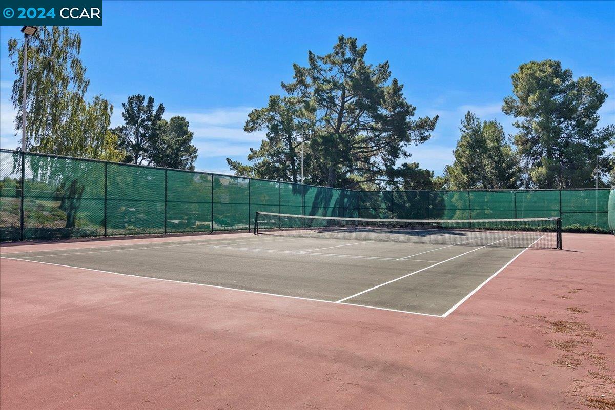 103 Player Court # 2