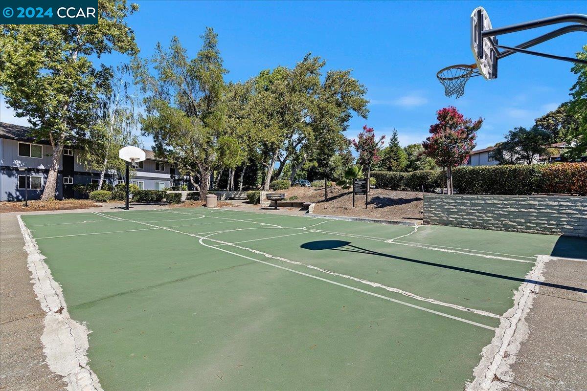 103 Player Court # 2