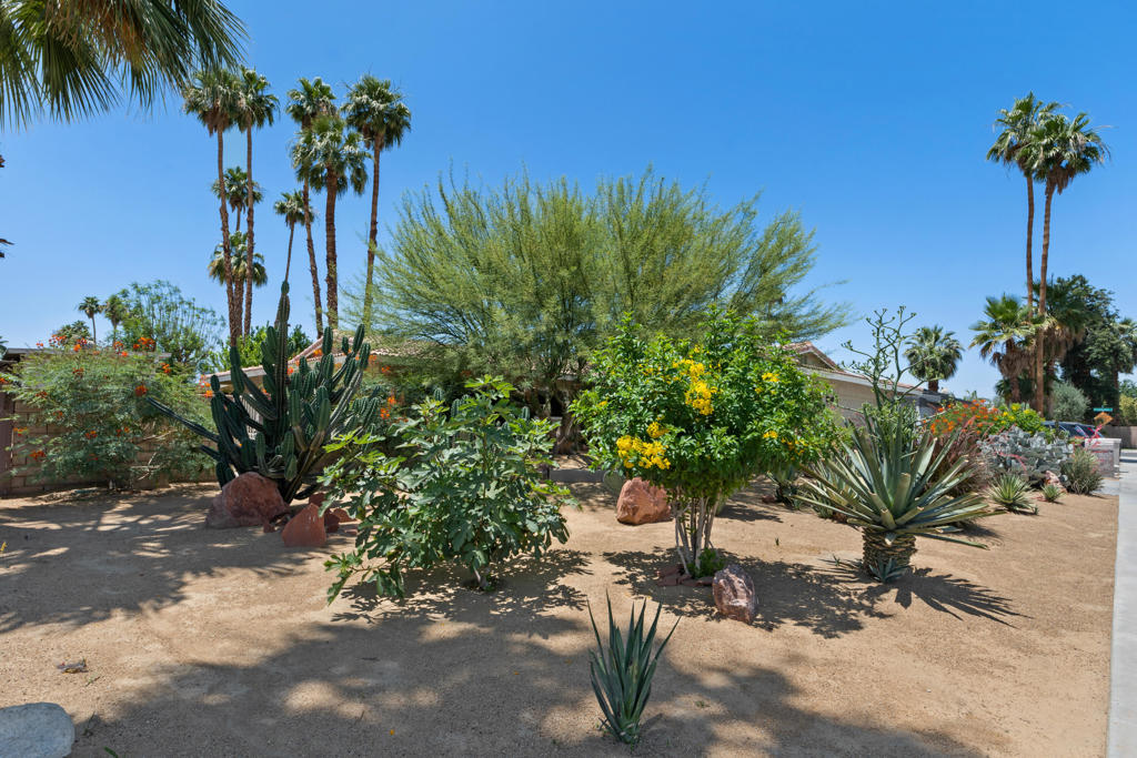 43235 Silk Tree Lane